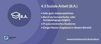 (8 cp) exemplarische felder der vorgenannten bezugswissenschaften (0 cp) grundfragen, theorien und grundbegriffe der soziologie und politikwissenschaft (0 cp). Bachelor Of Arts B A Dauer Nc Studiengange