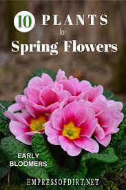 It also provides preferred sun/shade if you love flowers and want continuous blooms in your garden, this is for you. 10 Delightful Plants For Early Spring Flowers Empress Of Dirt Spring Garden Flowers Early Spring Flowers Spring Perennials
