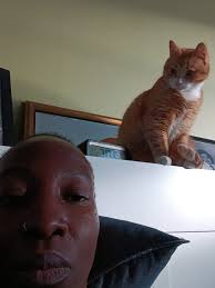 Black People Love Cats Too!