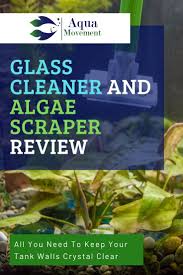 Glass Cleaner And Algae Scraper In 2020 Glass Cleaner Aquarium Glass Aquarium
