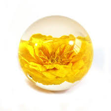 Titles must not contain jokes, backstory, or other fluff. Real Rose Globe 44 Yellow Walmart Canada