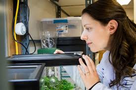 Unlocking the Secrets of Developmental Physiology