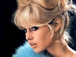 Brigitte Bardot gençliğinde yüz konturları bakımından ideal bir kadın imajı  vermekteydi. Ancak zaman ve çevre faktörleri bu güzel yüzüde kırıştırmış,  konturlarını yok etmiş, yüze yorgun ve yaşlı bir görüntü vermiştir. Bu örnek