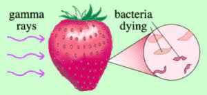 Food Irradiation Preservation Of Food By Radiation The Less Known Technique Discover Food Tech