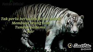 Video ini ber judul kata kata macan putih siliwangi. Story Wa Kata Kata Bijak Sang Macan Putih Youtube