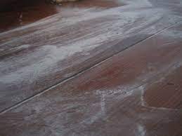 Baby Powder For A Squeaky Wood Floor Growing Our Green Beans