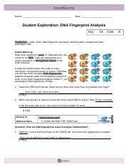 Maybe you would like to learn more about one of these? Gizmo 6 Dna Fingerprinting Revised Name Date Student Exploration Dna Fingerprint Analysis Inq 20 Com Vocabulary Codon Dna Dna Fingerprint Genotype Course Hero