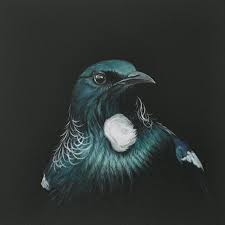 Already on december 30, the first charter of tui will fly to murmansk what you can do in time for 6 days of the tour: Tui Portrait 1 By Jane Crisp Art Prints New Zealand