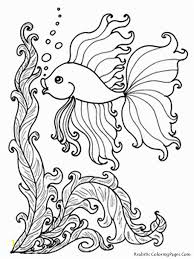 75 Best Of Image Of Wildlife Coloring Pages Ocean Coloring Pages Fish Coloring Page Animal Coloring Pages