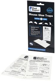 This has an upside and a downside. Pest Expert Mouse Glue Traps 24 Pack Pest Expert Com