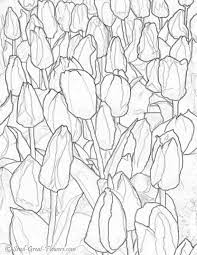 Free coloring pages for adults. Printable Tulip Coloring Page With Full Color Guide Coloring Pages Flower Coloring Pages Colouring Pages