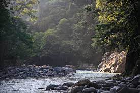 The Bare Necessities Gunung Leuser National Park Indonesia Expat Gunung Leuser National Park National Parks Night Hiking
