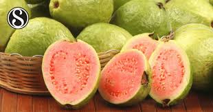 We did not find results for: A Novel Isolate Of Phyllosticta Capitalensis Causes Black Spot Disease On Guava Fruit In Egypt Scialert Responsive Version