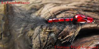 Combattante Nymphe Combattante Mouches