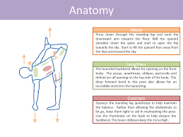 Sugar Cane Pose Ardha Chandrasana Chapasana Yoga Anatomy Yoga Asanas Cat Pose