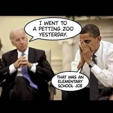 Dumb Biden