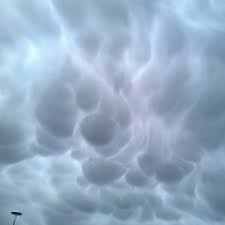 Storm in a cocoon (2014). Cocoon S Stream