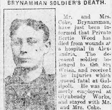 Search for "herbert"