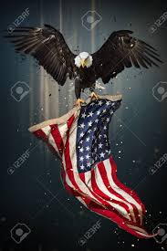 Gezimanya'da amerika birleşik devletleri hakkında bilgi bulabilir. Weisskopfseeadler Adler Symbol Der Amerika Der Flagge Vereinigte Staaten Von Amerika Patriotische Symbole Lizenzfreie Fotos Bilder Und Stock Fotografie Image 95857265