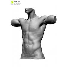 See more ideas about drawing poses, art reference poses, body reference. Male Scan Bundle On Behance