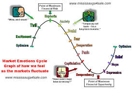 Graph And Analysis Of Emotions That We Go Though When