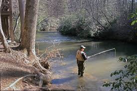 In the mountains, wild trout find water cool enough to survive (70 degrees or cooler). Best Georgia Fishing Vacations