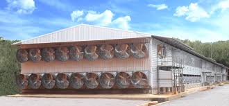 The complete guide to incubating and hatching chicken eggs. Breeder Broiler Farming Mfm Dindings Poultry