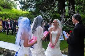Pin By Noella Selona On Revolutionary Lesbian Bride Lesbian Wedding Offbeat Bride