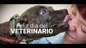 En 1890 se trasladó a la ciudad de la plata pero ya funcionando como facultad de agronomía y veterinaria. Dia Del Veterinario Youtube