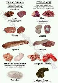 Raw Fed Dogs What Is Considered Muscle Meat And What Is Considered Organ Meat Raw Dog Food Recipes Raw Dog Food Diet Healthy Dog Food Recipes