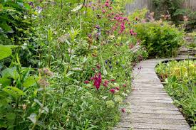 Plus, browse garden pictures full of creative ideas & solutions. Ideas For A New Build Garden Bbc Gardeners World Magazine