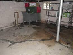Basement Waterproofing - Tree Roots Damage Oaklyn Basement - Water Puddles  in Oaklyn Basement