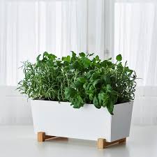 Bittergurka Ubertopf Weiss Ikea Deutschland Potted Plants Herb Pots Indoor Plant Pots
