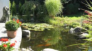 Sie sind auf der suche nach gartenplanung sprockhövel und möchten sich über firmen und unternehmen informieren? Michael Wagner Garten Und Landschaftsbau Ist In Sprockhovel Und Umgebung Fur Privat Und Geschaftskunden Im Einsatz