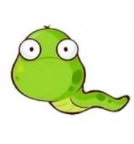 Tuổi Tỵ] 7 thông tin cần biết về người tuổi Tỵ