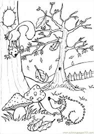 We did not find results for: Hog Coloring Page Source 0p9 Coloring Page For Kids Free Forest Printable Coloring Pages Online For Kids Coloringpages101 Com Coloring Pages For Kids