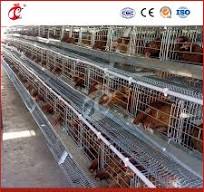 Cajón de gallinas Bestchickencage tipo ordinario fábrica de jaulas para  gallinas en China limpieza de gallinas ponedoras OEM personalizado ahorro  de energía control remoto jaula para gallinas ...
