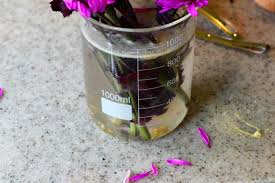 Chances are you probably have the ingredients above hanging around in your kitchen and hey, it'll give you a chance to try making diy flower food. Best Homemade Fresh Cut Flower Food Plus Tips On Why It Works