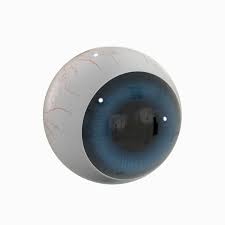 3d Cartoon Eye Model En 2020
