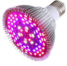 Lights like the solarsystem® series from california lightworks are helping growers achieve their highest and most potent yields yet. Top 10 Best Led Grow Light Bulbs 2021 Reviews
