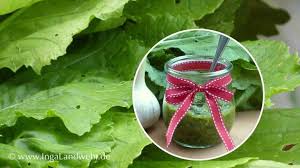 Mairubchen Pesto Selber Machen Vegan Schnell Und Lecker Rezept Mairubchen Ruben Pesto