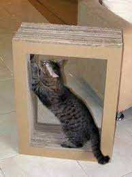 Diy Cardboard Cat Scratcher Diy Cat Scratcher Cardboard Cat Scratcher Cat Toys