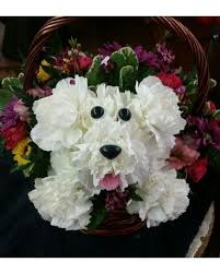 Maybe you would like to learn more about one of these? Flower Dog In Ocala Fl Bo Kay Florist