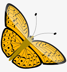 Orange butterfly breast cancer butterfly butterfly knife 3d butterfly butterfly images real butterfly butterfly vector butterfly hd butterfly 3d images blue butterfly flying. Yellow Flower Flowers Cartoon Purple Butterfly Butterfly Png Gif Cartoon Transparent Png 640x640 Free Download On Nicepng
