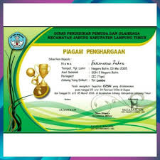 Untuk desain dapat dibuat menggunakan software corel. Jual Hot Piagam Penghargaan Sertifikat Juara Satuan Jakarta Barat Sukarti Mc Tokopedia