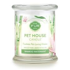 The best of little house. Bamboo Watermint Pet House Candle Pet Odor Candle 100 Soy Wax Pet Odor Candles Natural Soy Wax Candles Scented Candle Jars