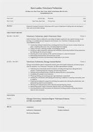 Veterinary Assistant Resume Summary Examples Resume Resume Sample 2168