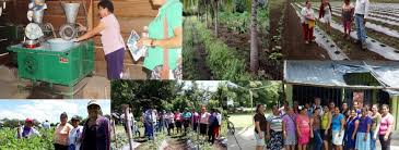 In el salvador gibt es eines der repressivsten abtreibungsgesetze der welt. El Salvador Asociacion Intercomunal De Comunidades Unidas Para El Desarrollo Economico Y Social Del Bajo Lempa Aufbau Landwirtschaftlichen Iniciativas Economicas Marie Schlei Verein E V