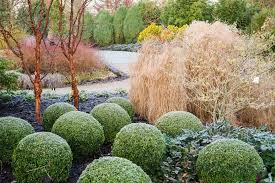 Winter Garden Sir Harold Hillier S Winter Garden Winter Vegetables Gardening Winter Plants