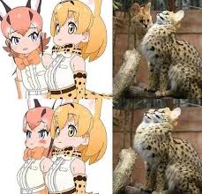 Posture Counts Animememes Animememe Anime Anime Funny Anime Memes Kawaii Anime